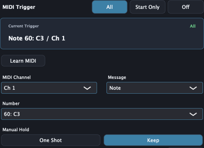 Preferences で MIDI Trigger と Manual Hold Keep を設定する画面